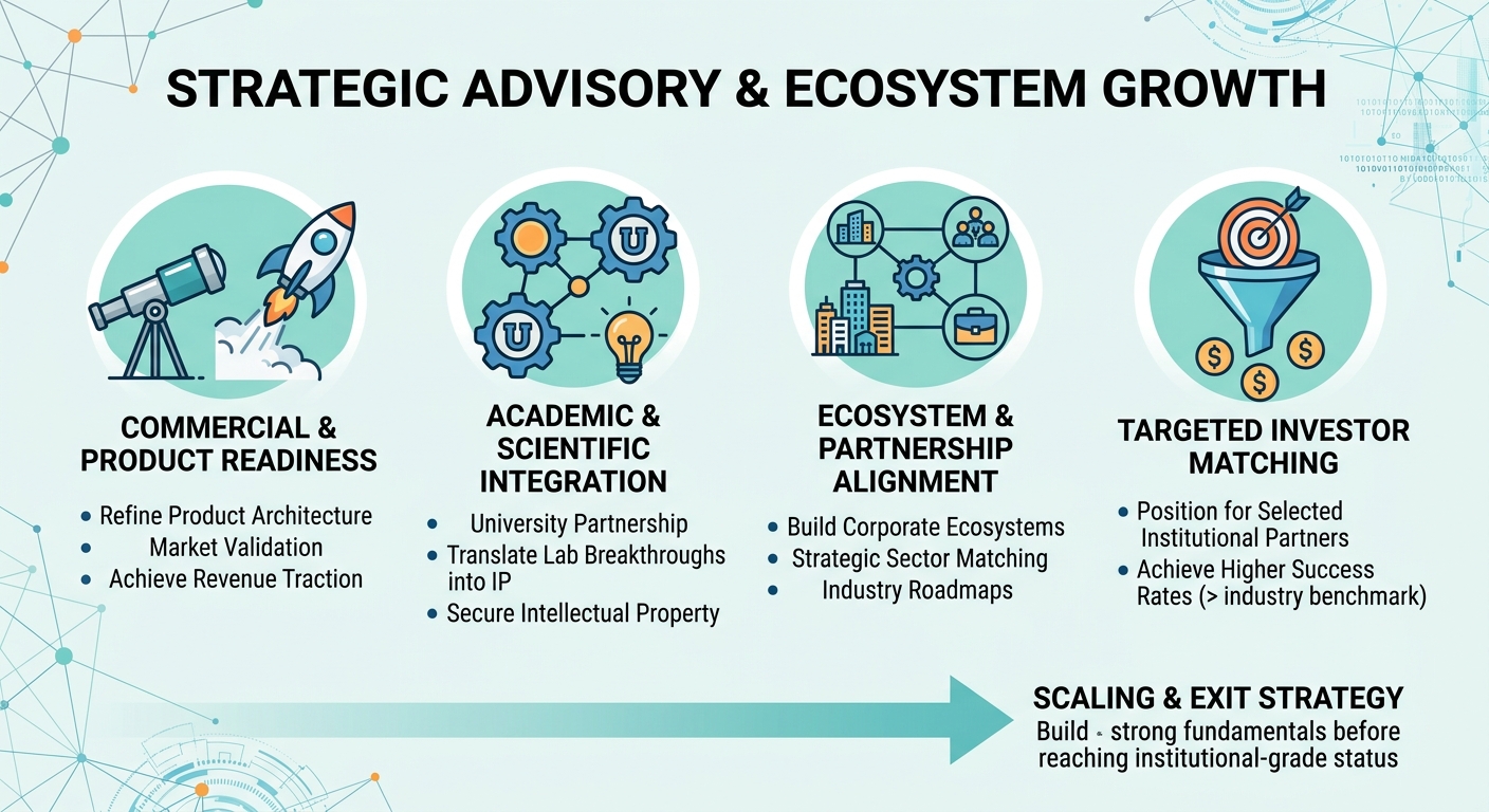 Strategic Advisory Beyond Traditional Venture Capital for Scale-Ups and Research Spin-Outs Saudi Arabia